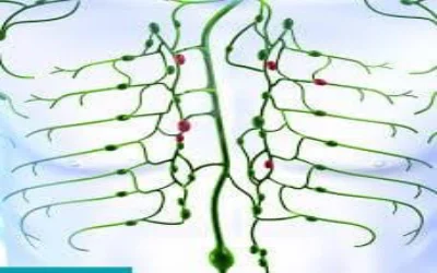 Lymph Drainage  Therapy for Breast Health at Beyond Basics Physical Therapy