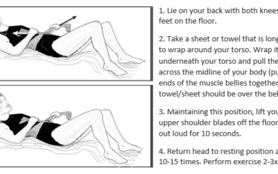 Why Do I Still Look Pregnant?!: Diastasis Recti, Part I