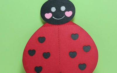 We’ve got the LOVE BUG!