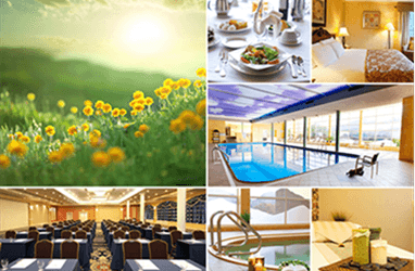 Alliance for Pelvic Pain: Connecting the Dots of Your Experience