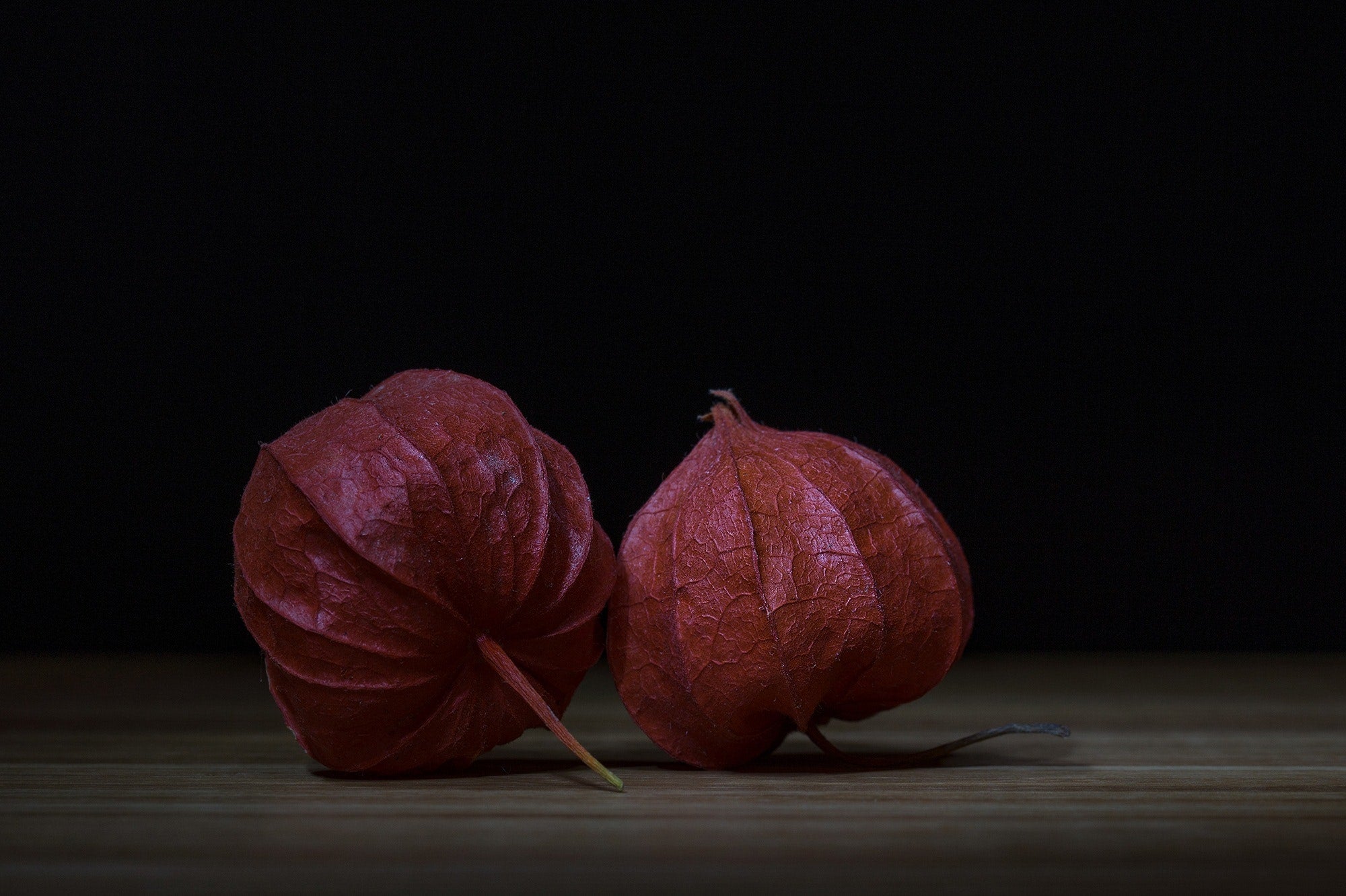 bladder-cherry-chinese-lanterns-ornamental-plant-433076