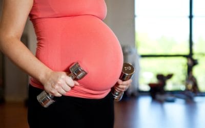 Pregnancy Possibilities?