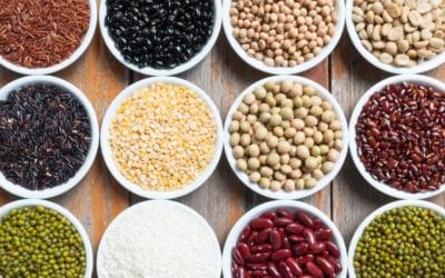 BBPT Health Tip: Eat your Fiber