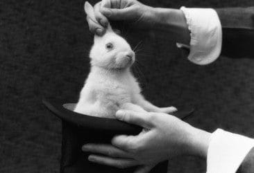 A Personal Pelvic Perspective