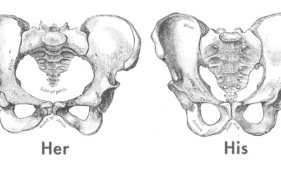 PH101: Something’s Wrong with my What?