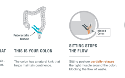 BPPT Health Tip: Best Positioning Tips for Optimal Bowel Movements