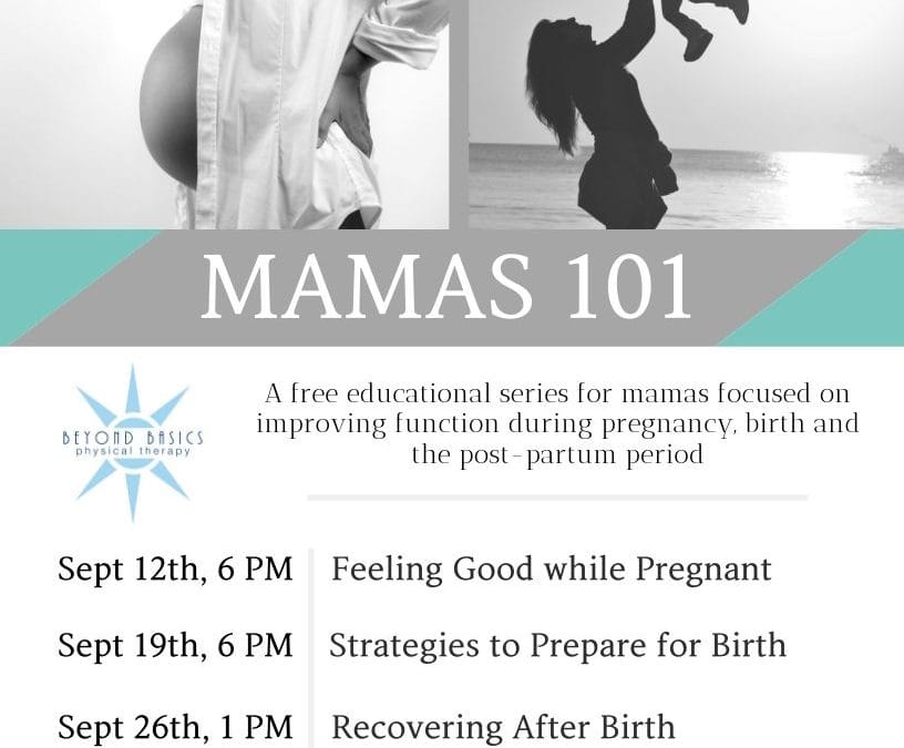 Mama’s 101 is here! Optimize your Pregnancy and Post-Partum period