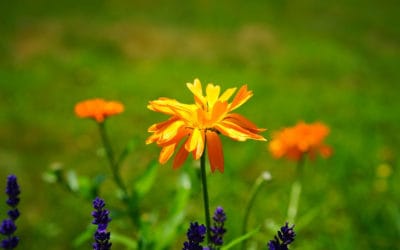 What is Pelvic Floor Physical Therapy