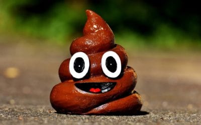 Pediatric Bowel Part II: How to Make Pooping Easier for your Kiddo