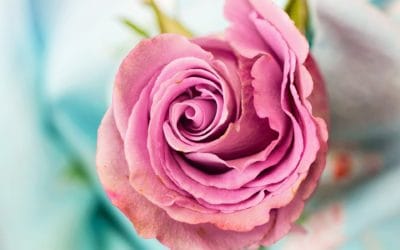 Continuing our Education: Vestibulodynia, Vulvar Pain, and Beyond