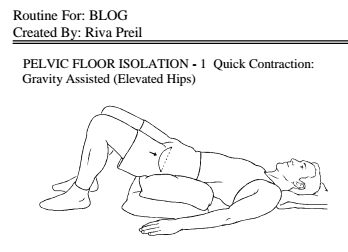 Pelvic Posture Cushion for Pelvic Organ Prolapse