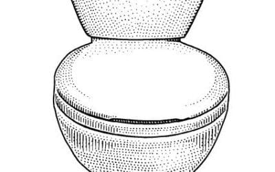 Ph101 Why is pooping so difficult?