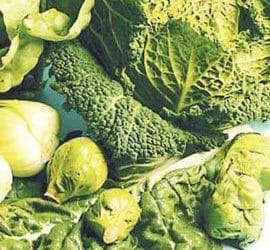 Frolic with Folic (Acid)!