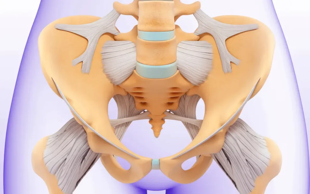 Featured image Navigating Pelvic