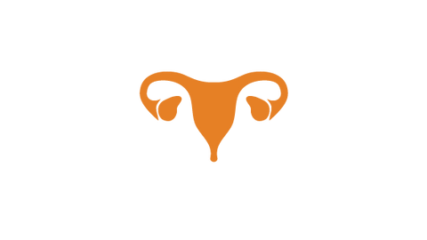 Endometriosis_a7541c36-52a8-45f1-a805-1baa21010079_480x480 Endometriosis