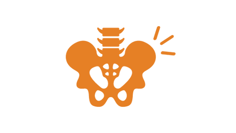 PELVIC-PAIN-AND-DYSFUNCTION-index_480x480 PELVIC-PAIN-AND-DYSFUNCTION-index_480x480