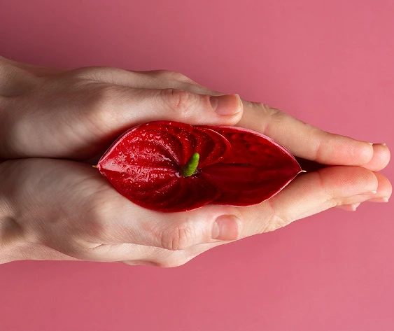 Vulvodynia and Vestibulodynia Symptoms