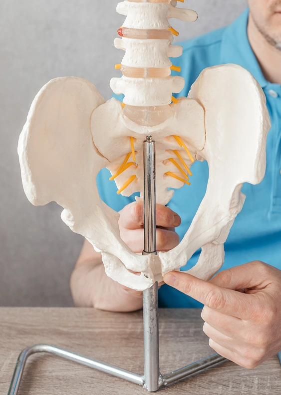 HSD-Joint Hypermobility