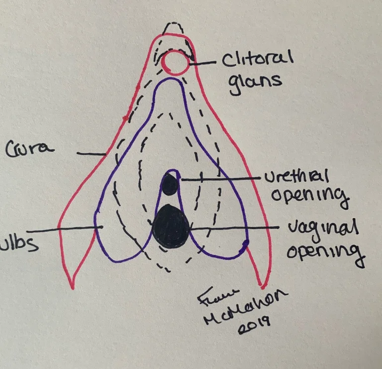 clitoris
