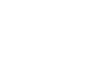 vector